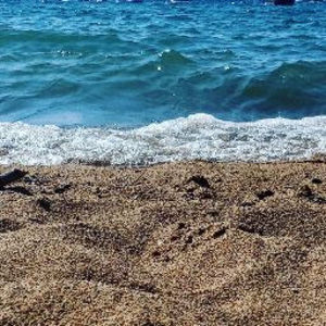 Meet your Posher, Maylo